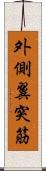 外側翼突筋 Scroll