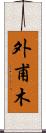 外甫木 Scroll