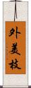 外美枝 Scroll