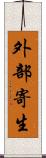 外部寄生 Scroll