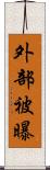 外部被曝 Scroll