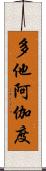 多他阿伽度 Scroll