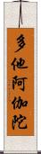 多他阿伽陀 Scroll