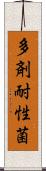 多剤耐性菌 Scroll