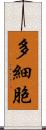 多細胞 Scroll