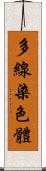 多線染色體 Scroll