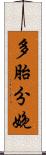 多胎分娩 Scroll