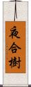 夜合樹 Scroll