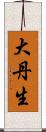 大丹生 Scroll