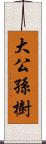 大公孫樹 Scroll