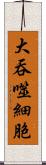 大吞噬細胞 Scroll