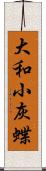 大和小灰蝶 Scroll