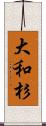 大和杉 Scroll