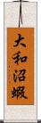 大和沼蝦 Scroll