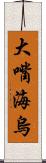 大嘴海烏 Scroll