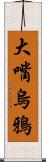 大嘴烏鴉 Scroll