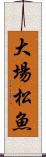 大場松魚 Scroll