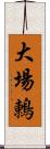 大場鶇 Scroll