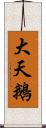 大天鵝 Scroll