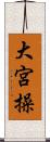 大宮操 Scroll