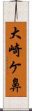 大崎ケ鼻 Scroll