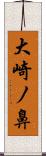 大崎ノ鼻 Scroll