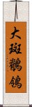 大斑鶺鴒 Scroll