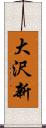 大沢新 Scroll