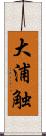 大浦触 Scroll
