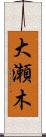 大瀬木 Scroll