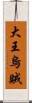 大王烏賊 Scroll