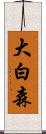 大白森 Scroll