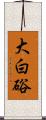 大白硲 Scroll