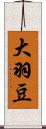 大羽豆 Scroll