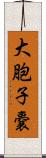 大胞子嚢 Scroll