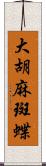 大胡麻斑蝶 Scroll
