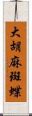 大胡麻斑蝶 Scroll