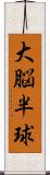 大脳半球 Scroll