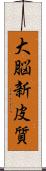大脳新皮質 Scroll