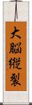 大脳縦裂 Scroll