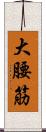 大腰筋 Scroll