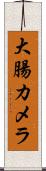 大腸カメラ Scroll
