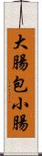 大腸包小腸 Scroll