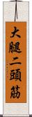 大腿二頭筋 Scroll