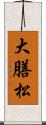 大膳松 Scroll