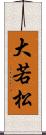 大若松 Scroll