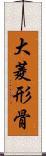 大菱形骨 Scroll