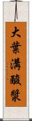 大葉溝酸漿 Scroll