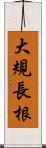 大規長根 Scroll