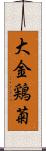 大金鶏菊 Scroll